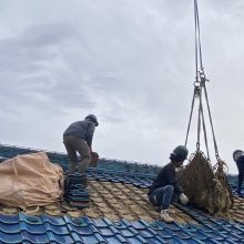 IMG_3783
